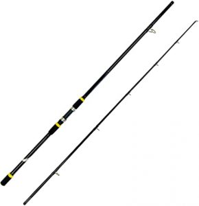 Surf Fishing Rods